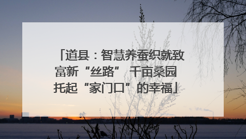 道县：智慧养蚕织就致富新“丝路” 千亩桑园托起“家门口”的幸福