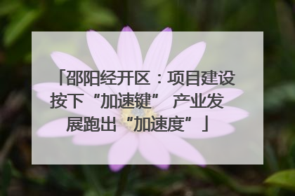 邵阳经开区：项目建设按下“加速键” 产业发展跑出“加速度”