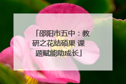 邵阳市五中：教研之花结硕果 课题赋能助成长