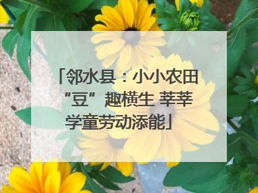 邻水县：小小农田“豆”趣横生 莘莘学童劳动添能