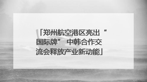 郑州航空港区亮出“国际牌” 中韩合作交流会释放产业新动能