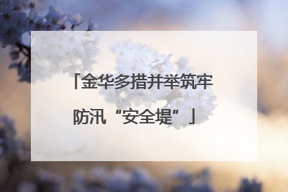 金华多措并举筑牢防汛“安全堤”