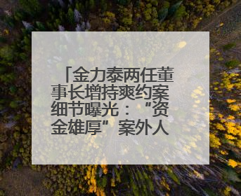 金力泰两任董事长增持爽约案细节曝光：“资金雄厚”案外人提供1.5亿元，完成存款证明后当日转回