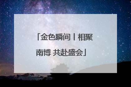 金色瞬间丨相聚南博 共赴盛会