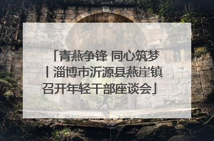 青燕争锋 同心筑梦丨淄博市沂源县燕崖镇召开年轻干部座谈会