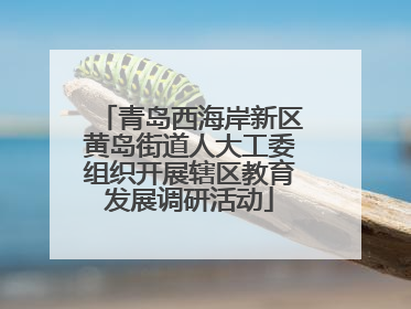 青岛西海岸新区黄岛街道人大工委组织开展辖区教育发展调研活动