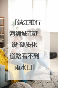 靖江推行海绵城市建设 硬质化道路看不到雨水口