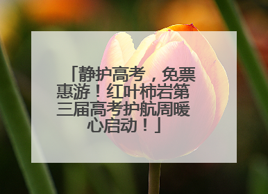 静护高考，免票惠游！红叶柿岩第三届高考护航周暖心启动！
