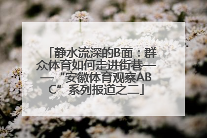 静水流深的B面：群众体育如何走进街巷——“安徽体育观察ABC”系列报道之二