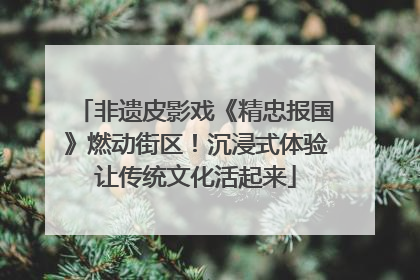 非遗皮影戏《精忠报国》燃动街区！沉浸式体验让传统文化活起来