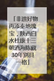 非遗好物再添秦地瑰宝，陕西白水杜康十三朝酒海陈藏30年别具一格