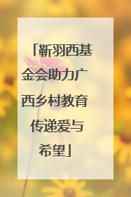 靳羽西基金会助力广西乡村教育 传递爱与希望