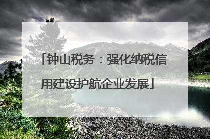 钟山税务：强化纳税信用建设护航企业发展