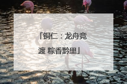 铜仁：龙舟竞渡 粽香黔里