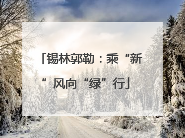 锡林郭勒：乘“新”风向“绿”行