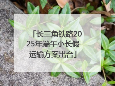 长三角铁路2025年端午小长假运输方案出台