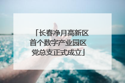 长春净月高新区首个数字产业园区党总支正式成立