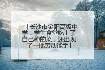 长沙市金阳高级中学：学生食堂吃上了自己种的菜，还出现了一批劳动能手