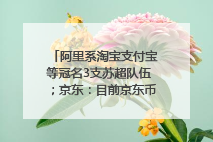 阿里系淘宝支付宝等冠名3支苏超队伍；京东：目前京东币链科技并没有开始发行稳定币｜早资道