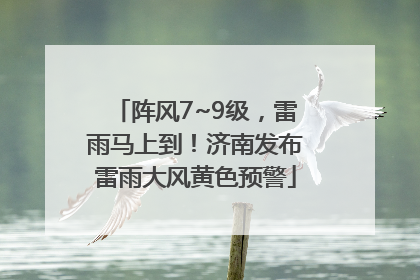 阵风7~9级，雷雨马上到！济南发布雷雨大风黄色预警