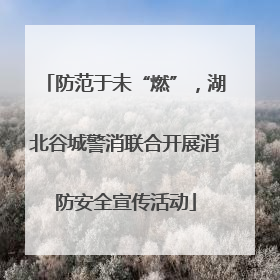 防范于未“燃”，湖北谷城警消联合开展消防安全宣传活动