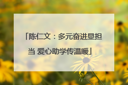 陈仁文：多元奋进显担当 爱心助学传温暖