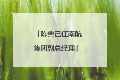 陈詟已任南航集团副总经理