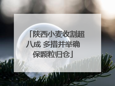 陕西小麦收割超八成 多措并举确保颗粒归仓