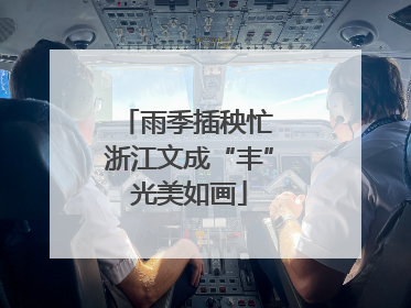 雨季插秧忙 浙江文成“丰”光美如画