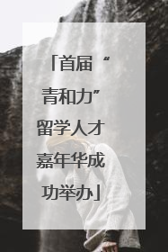 首届“青和力”留学人才嘉年华成功举办