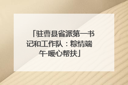 驻曹县省派第一书记和工作队：粽情端午·暖心帮扶