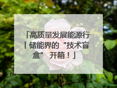 高质量发展能源行丨储能界的“技术盲盒” 开箱！