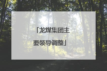龙煤集团主要领导调整