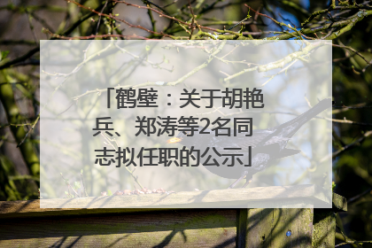 鹤壁：关于胡艳兵、郑涛等2名同志拟任职的公示