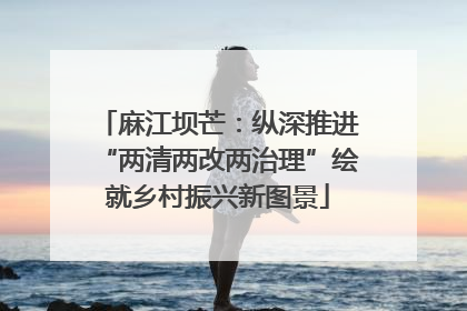 麻江坝芒：纵深推进“两清两改两治理”绘就乡村振兴新图景