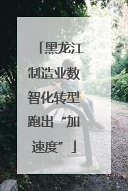 黑龙江制造业数智化转型跑出“加速度”