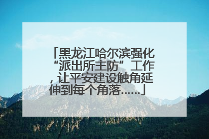 黑龙江哈尔滨强化“派出所主防”工作，让平安建设触角延伸到每个角落……