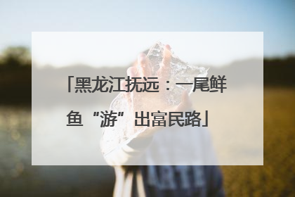 黑龙江抚远：一尾鲜鱼“游”出富民路