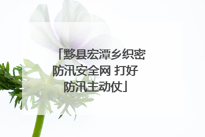 黟县宏潭乡织密防汛安全网 打好防汛主动仗