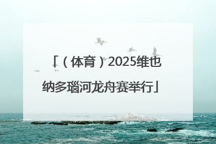（体育）2025维也纳多瑙河龙舟赛举行