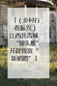 （乡村行·看振兴）江西共青城“领头雁”开辟致富“新稻路”