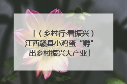 （乡村行·看振兴）江西赣县小鸡蛋“孵”出乡村振兴大产业
