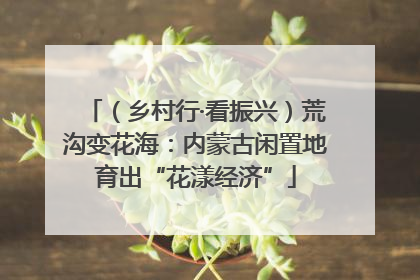 （乡村行·看振兴）荒沟变花海：内蒙古闲置地育出“花漾经济”