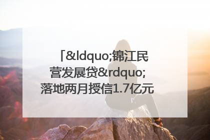 “锦江民营发展贷”落地两月授信1.7亿元，惠及118家民企