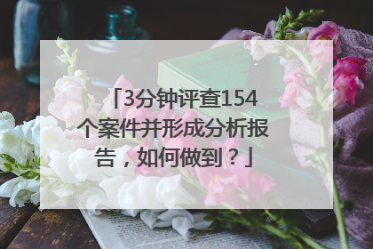 3分钟评查154个案件并形成分析报告，如何做到？