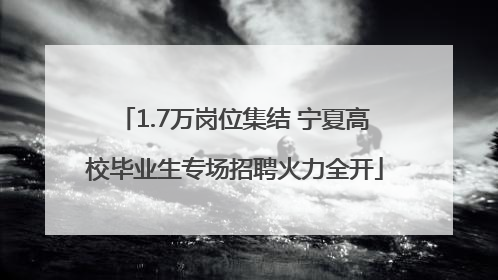 1.7万岗位集结 宁夏高校毕业生专场招聘火力全开