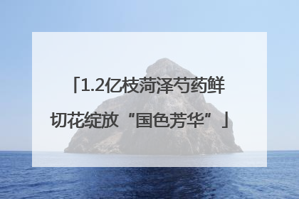 1.2亿枝菏泽芍药鲜切花绽放“国色芳华”