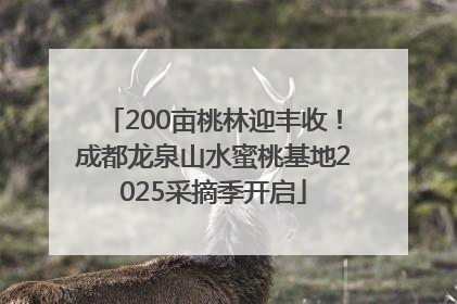 200亩桃林迎丰收！成都龙泉山水蜜桃基地2025采摘季开启