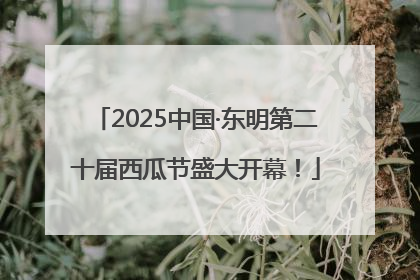 2025中国·东明第二十届西瓜节盛大开幕！