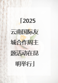 2025云南国际友城合作周主题活动在昆明举行